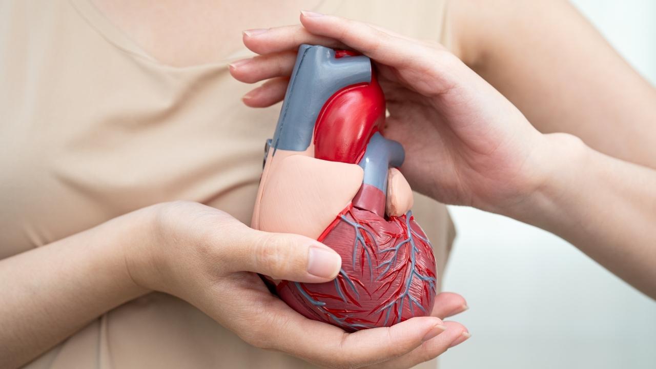 હૃદય સ્વાસ્થ્ય